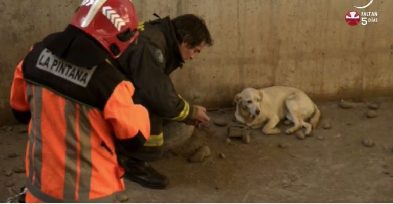 Zoomate | Capítulo 27 de noviembre - Parte 1