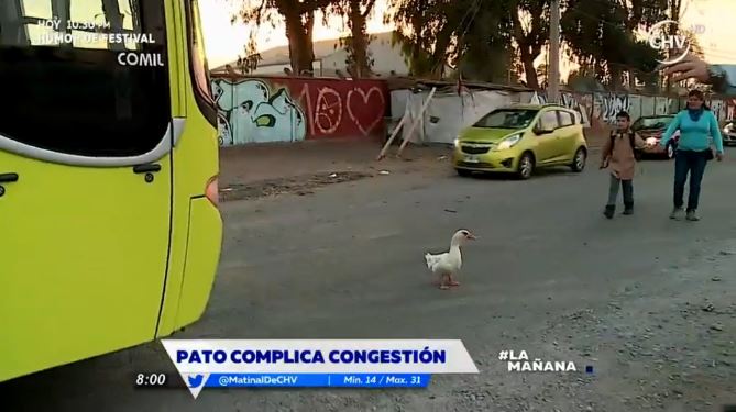 Estos son los pantallazos de la TV más graciosos de 2016