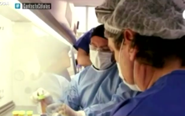 Famosos confían en células madre tras polémico reportaje