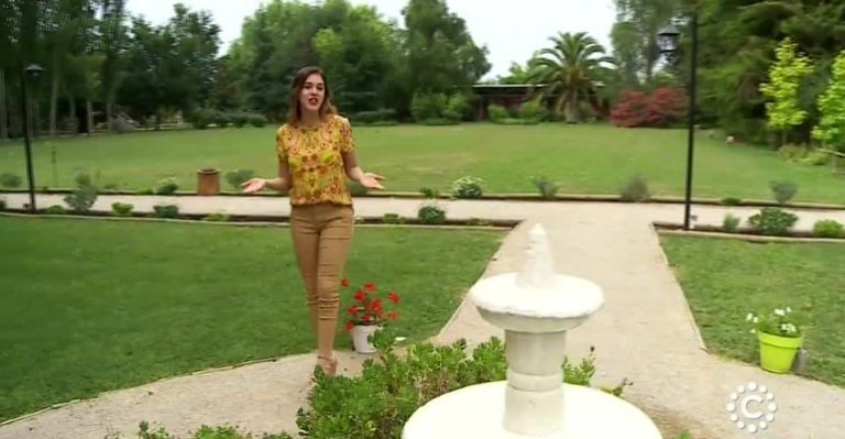 Flor de Chile | Capítulo 11 de diciembre - Parte 3