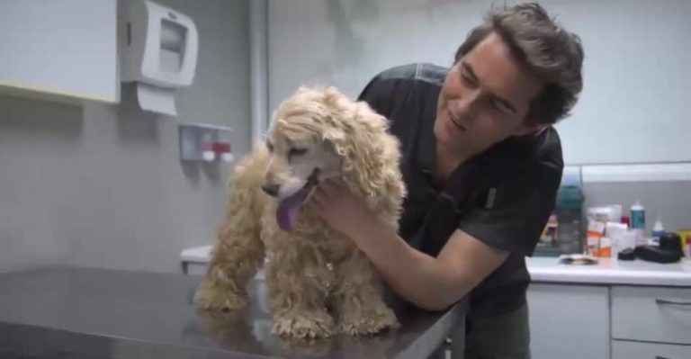 Zoomate: mira el adelanto del capítulo de este domingo