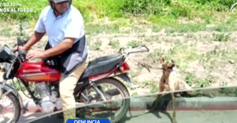 Hombre arrastró con moto a perro por kilómetros