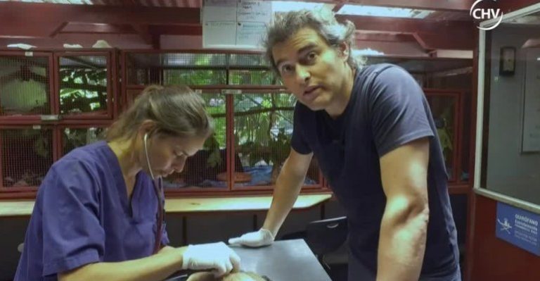 Zoomate | Capítulo 25 de diciembre - Parte 1