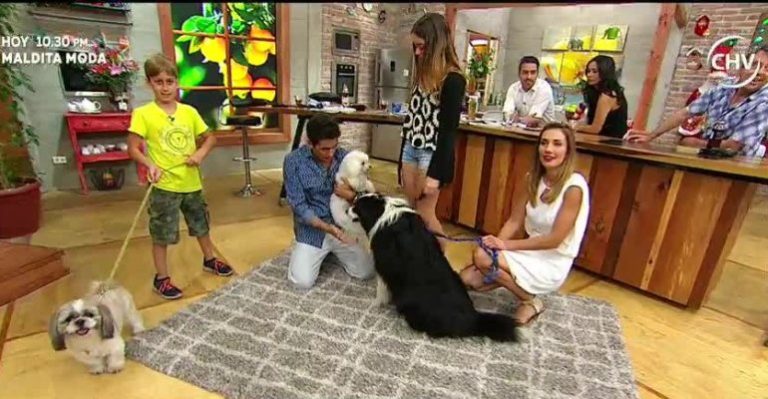Rafa Araneda recibió de sorpresa a sus hijos y perros