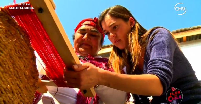 Flor de Chile | Capítulo 7 de enero - Parte 2