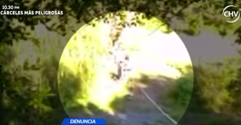 Niño cayó cerca de río por falta de puente en Río Bueno