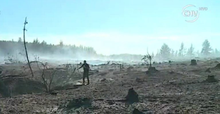 El devastador panorama de Cauquenes por incendios forestales