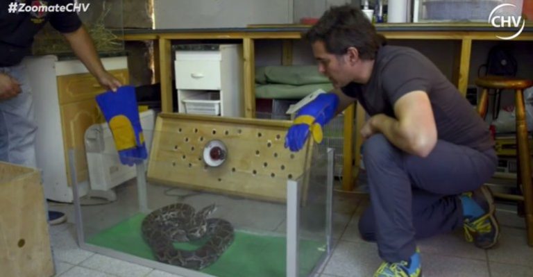 Zoomate | Capítulo 22 de enero - Parte 2