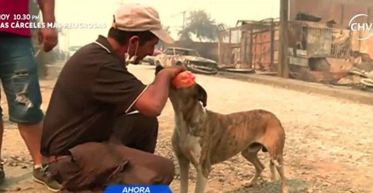 Conoce cómo ayudar a damnificados del incendio en Santa Olga