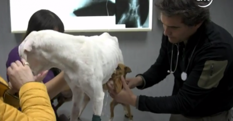 Zoomate | Capítulo 8 de enero - Parte 2