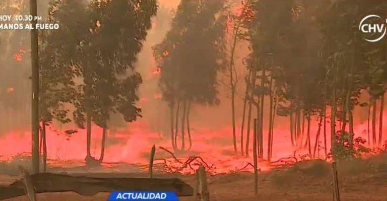 Video muestra nacimiento de incendio en Litueche