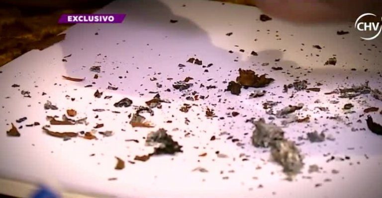 Conoce los métodos más extraños para predecir el futuro - Parte 1