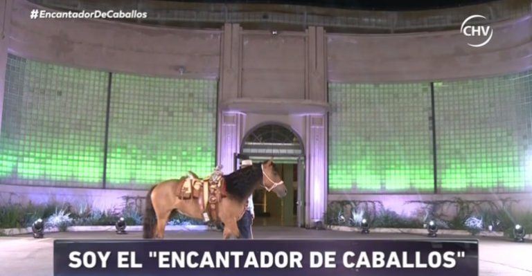 Es el encantador de caballos - Parte 1