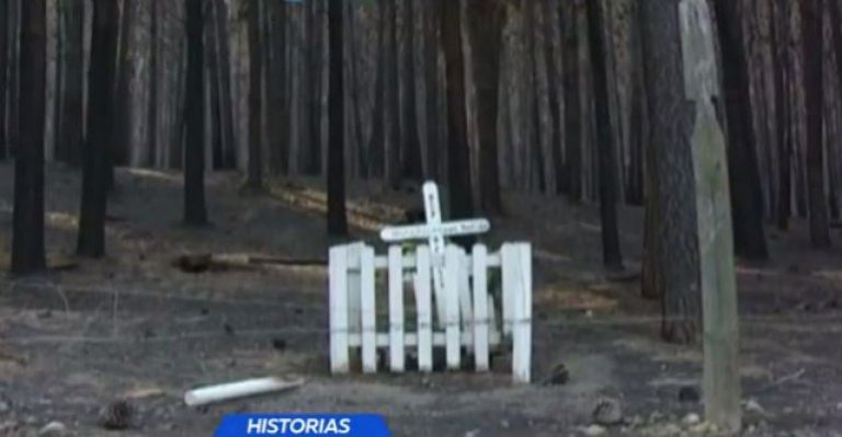 Milagros en la tragedia: casas y animitas que se salvaron - Parte 1