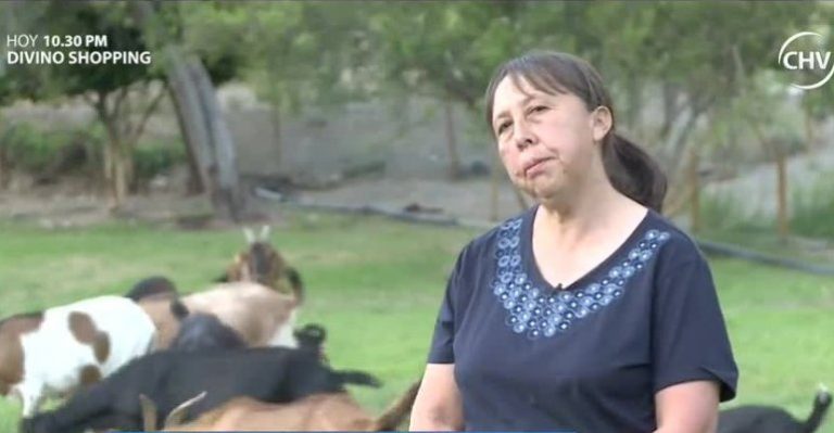 Emprendedores: Rescatan tradición en el Valle del Huasco