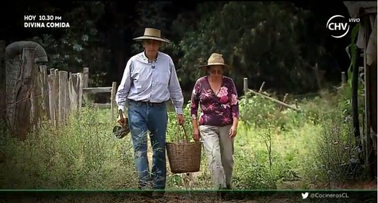 De la tierra a tu mesa: Los porotos de Paine