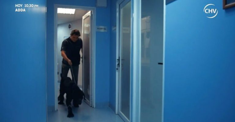 Zoomate | Capítulo 12 de marzo - Parte 2