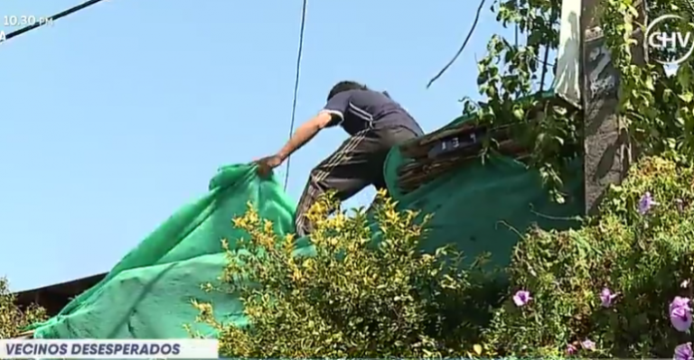 Vecinos de Macul desesperados por hombre que acumula basura