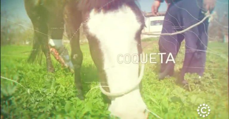 Zoomate | Capítulo 2 de abril - Parte 1