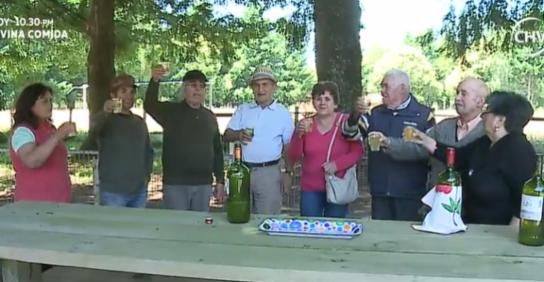 Historias de Pueblo: El origen y actualidad de la Villa García en La Araucanía