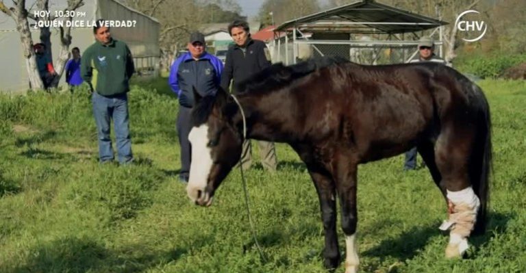 La Coqueta debió ser asistida bajo prioridad por pésimo diagnóstico