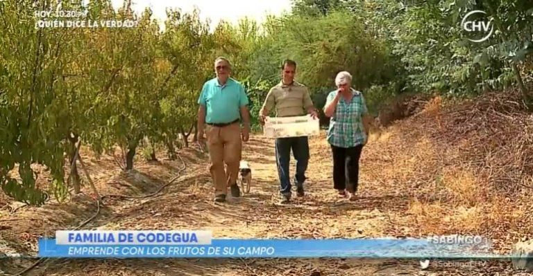 Productos Angriver llevan el sabor campestre a un dulce emprendimiento