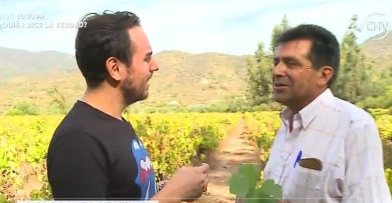 Ruta Los Perales: Turismo en las cercanías de Quilpué