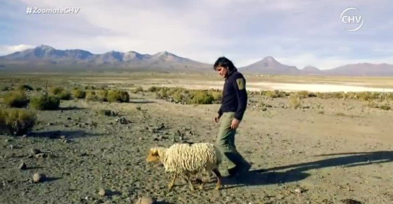 Zoomate | Capítulo 23 abril - Parte 1