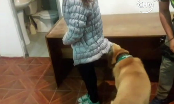 Joven escondió tres kilos de cocaína en su trasero - Parte 1