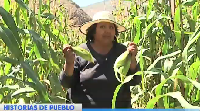 “Pueblo amigo”: La historia tras el poblado de Yala Yala