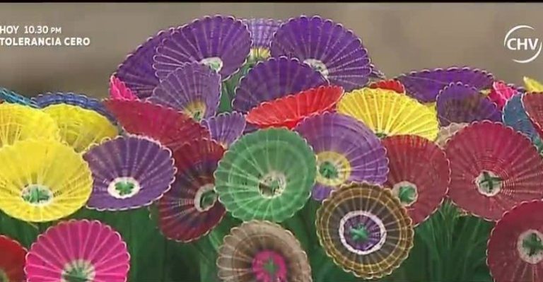 Pelluco y Olegario llegaron hasta Rari para conocer a grandes artesanas