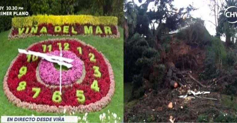 Caída de árbol destruyó reloj de flores de Viña del Mar