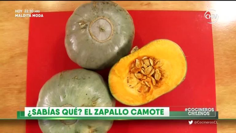 ¿Sabías qué? Las propiedades del zapallo camote
