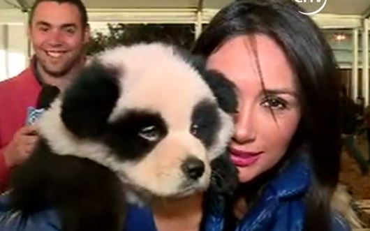 Pamela Díaz visitó el Animal Park del parque Alberto Hurtado - Parte 2