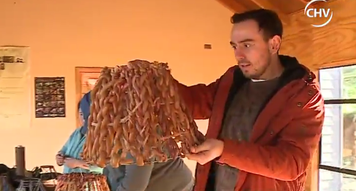 Turismo rural: La ruta de Los Muermos en la Región de Los Lagos