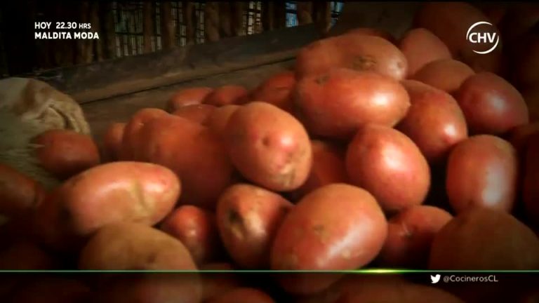 El secreto del plato: Las papas