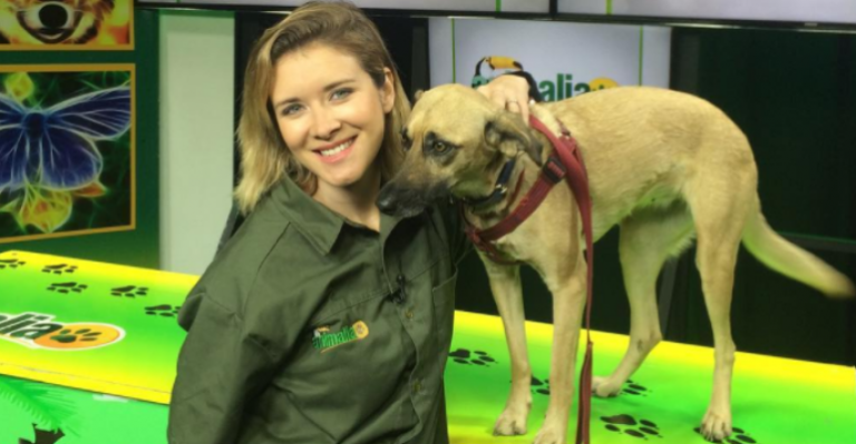 La plataforma web de Carla Jara sobre las mascotas - Parte 2