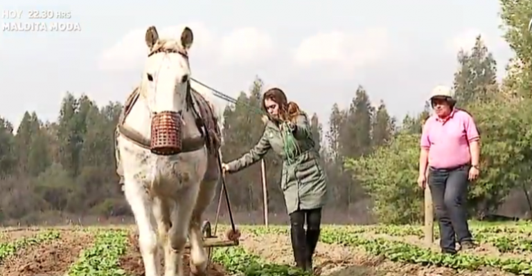Historias de Pueblo: La tradición campesina de Curtiduría
