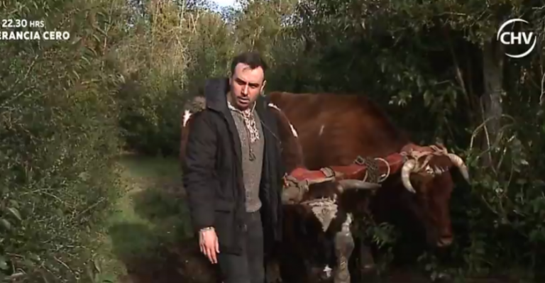 Turismo rural en Calbuco: La ruta de Isla Huar