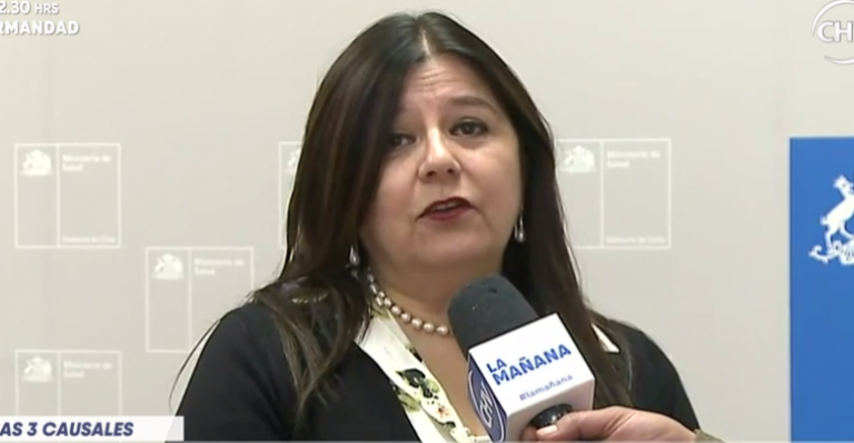 Asesora del Ministerio de Salud explicó la ley de aborto