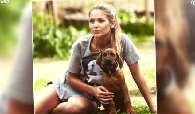 Famosos reflejan el amor por sus mascotas en internet