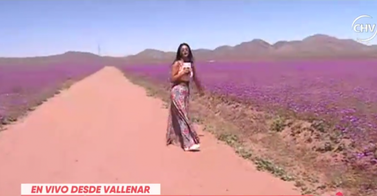 Pamela Díaz estuvo en directo desde el desierto florido - Parte 2