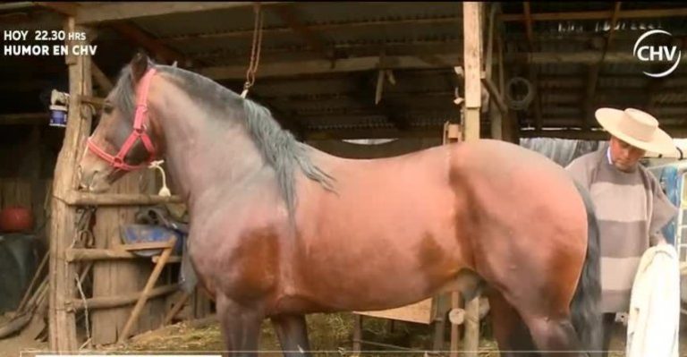 Historias de Pueblo: Conoce la historia de este particular pueblo 