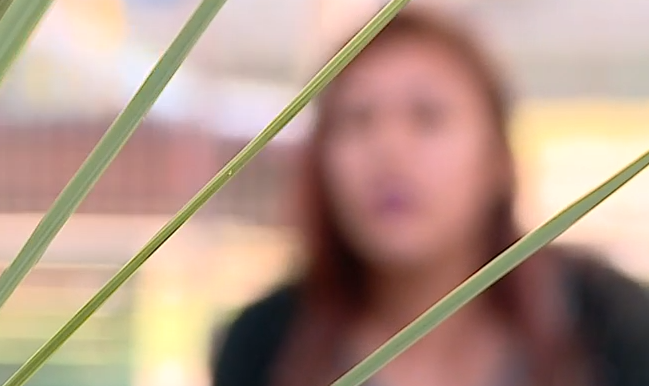 Hombre ofrecía falso trabajo para acosar mujeres