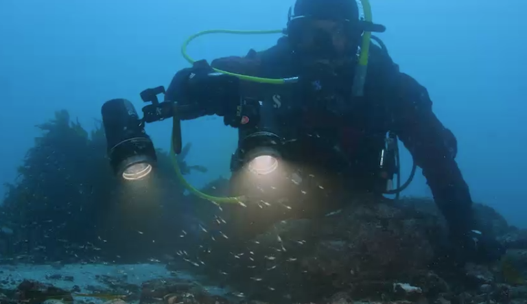 La importancia del Huiro