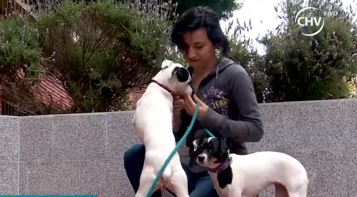 Ordenan desalojo de mascotas en edificio de Santiago