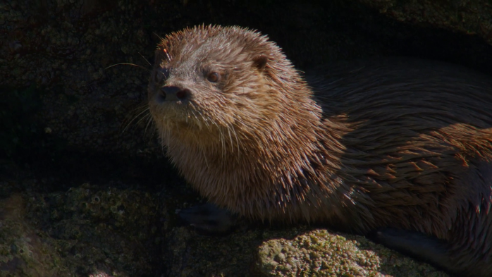 Capítulo 5 | Chile es Mar