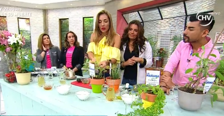 Aprende a crear tu huerto medicinal junto a La Mañana - Parte 2