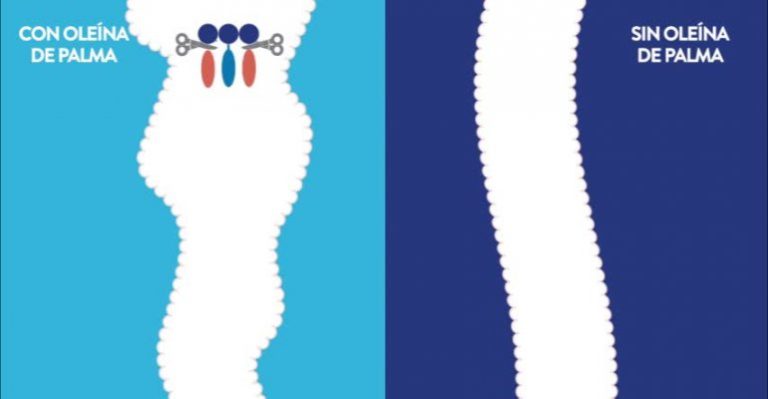 ¿Qué es la Oleína de Palma?