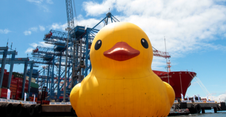 Pato de hule gigante revive en Valparaíso - Parte 1